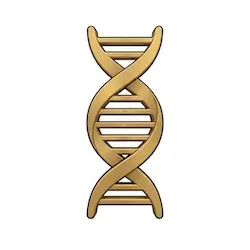 Stem Cells Therapy